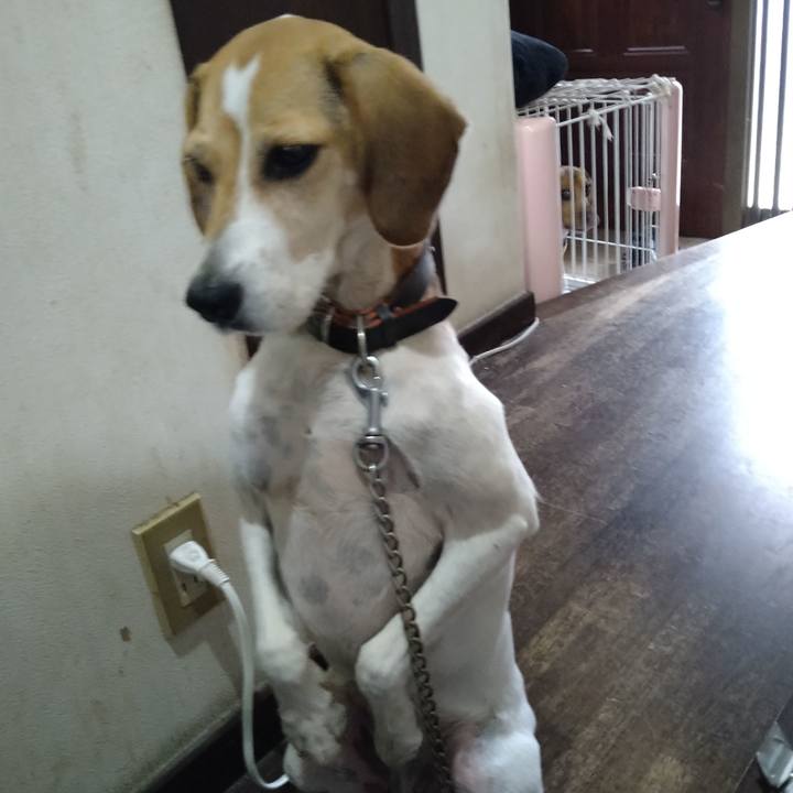 7c8ac2bb ccaa 4e4b 91ba 39508d7e69c4 1663392406386