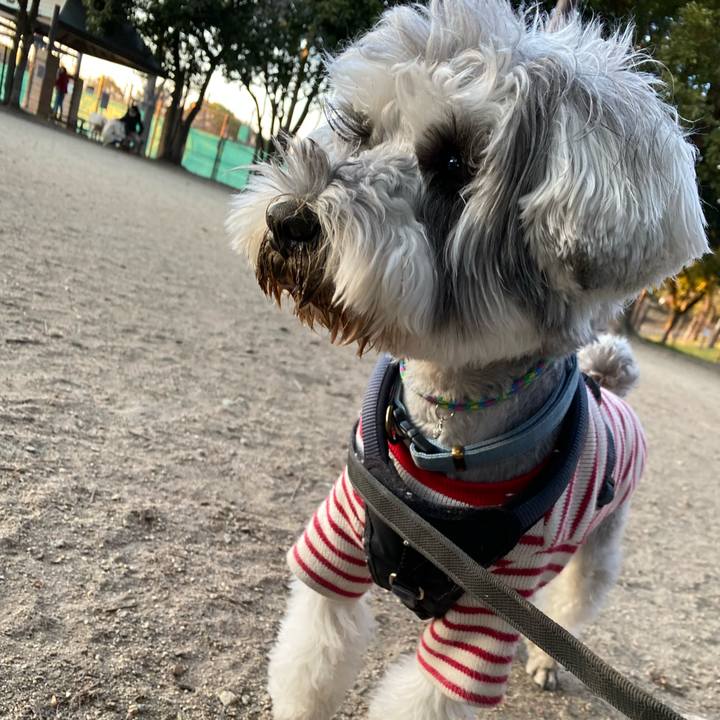 7c8b31a0 9ea2 4d39 828b 1df96f21fbbe 1644674304327