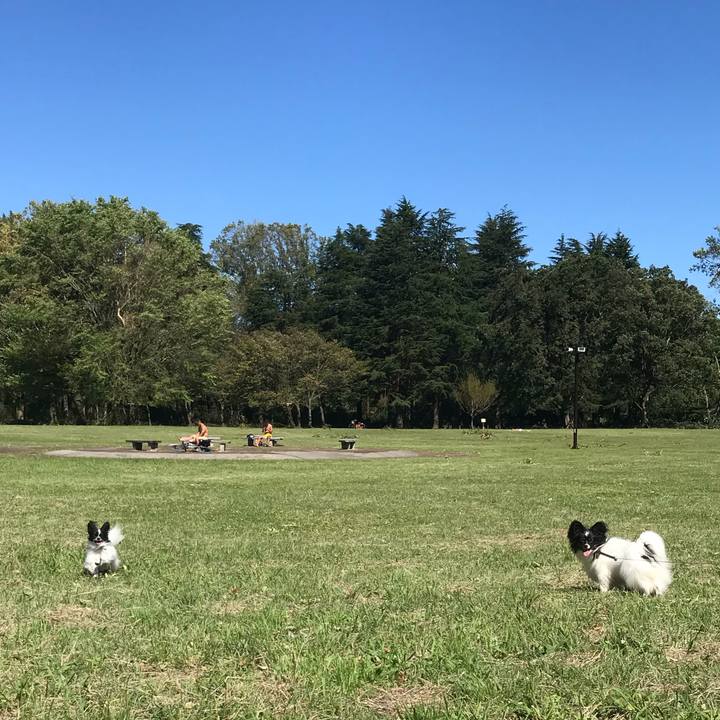 7c8b31a1 9138 4b92 9ccf 5abae0c6a0b3 1538388073621