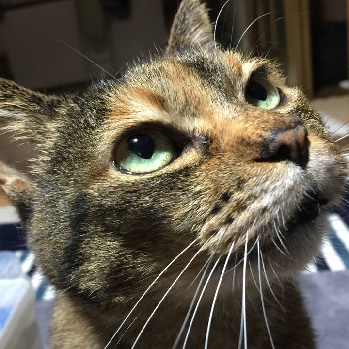 7c8b3715 44d6 494e b047 9fff08d79f91 1527683952307