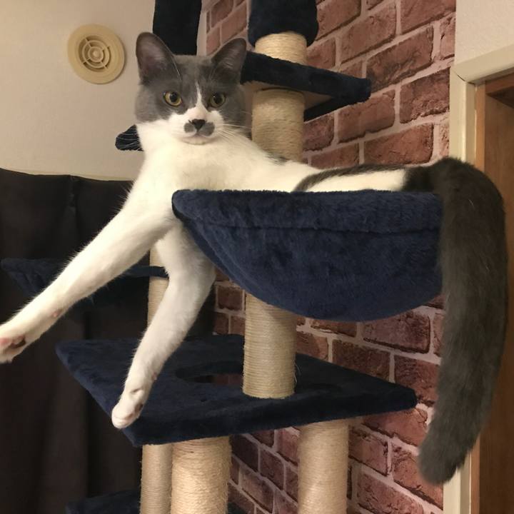 7c8b38e4 fbbf 45a2 a1f9 7c62e781af74 1623745036280