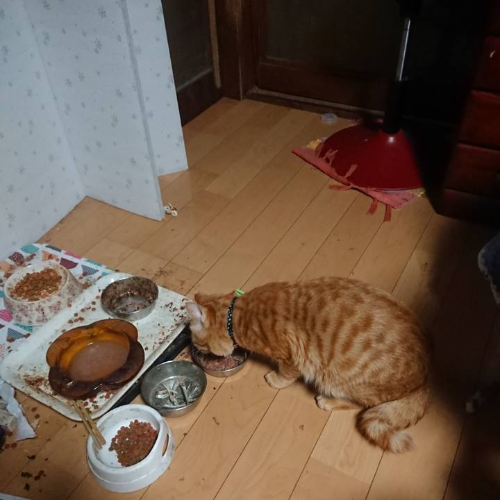 7c8b3ccc ba4f 4db4 917c 47c767553181 1645134195483