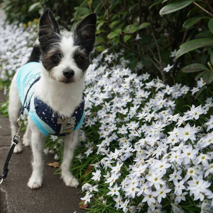 7c8b6639 e471 4098 8cec a1ad94ddde9c 1648720593257