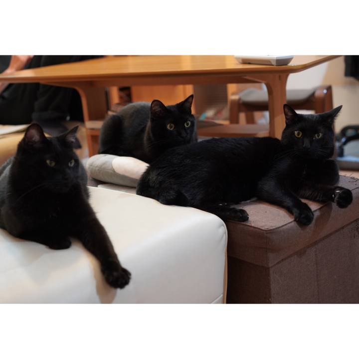 7c8b87b6 9d74 4609 88f0 8da94dc758ba 1622640475664