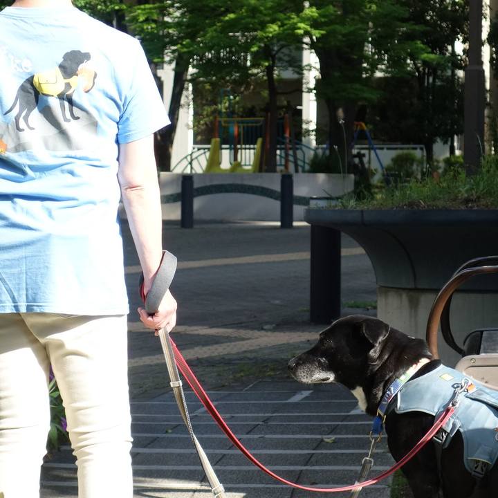 7c8b8d68 66b9 402b a005 8b66e4b2ac08 1714869075136