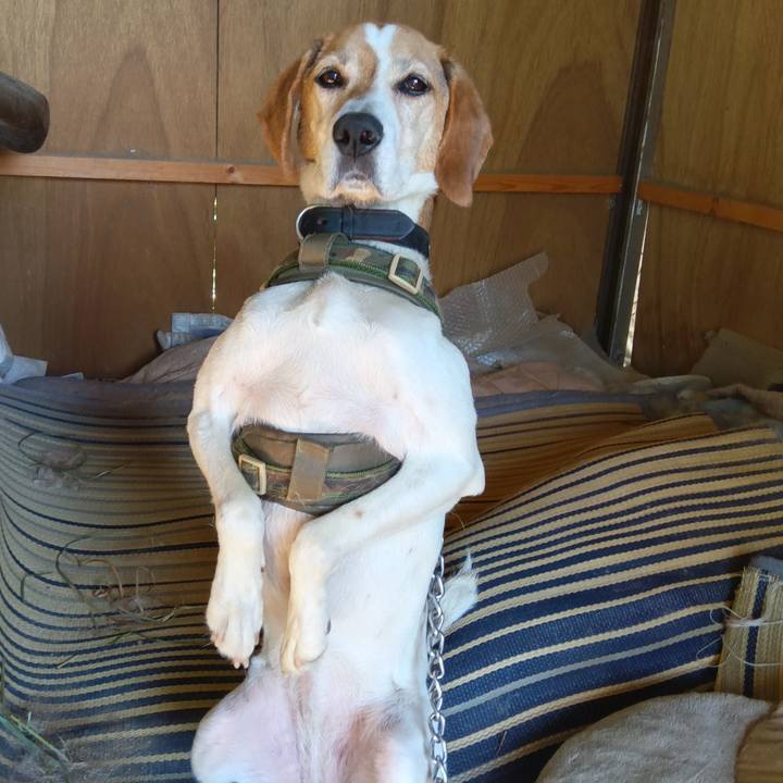 7c8bdd16 1d1f 4c67 a13f 73af96c3f87d 1717572722576