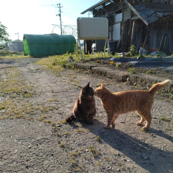 7c8be1d7 7b6e 4e84 8326 4a6d0cda6860 1685572828866