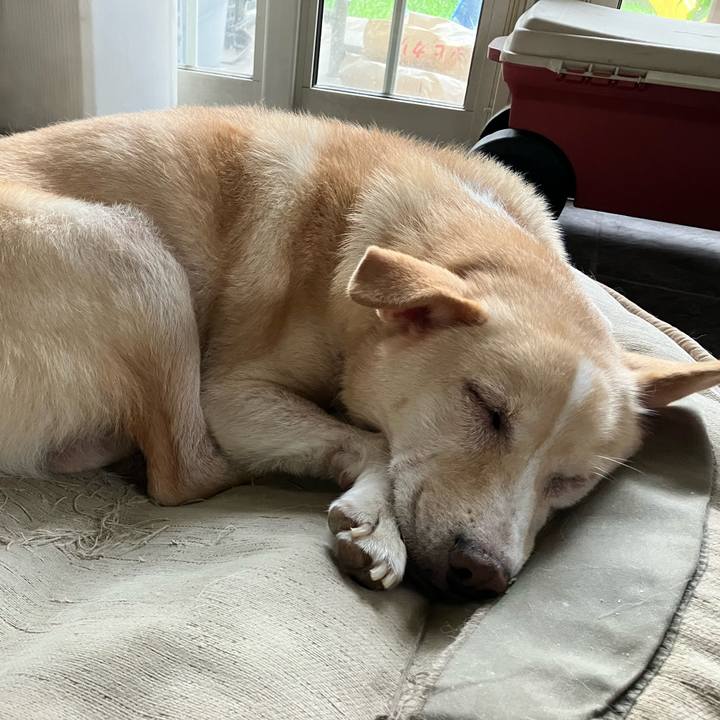 7c8bf841 7e38 4af8 af03 e7179d55831e 1757727452367