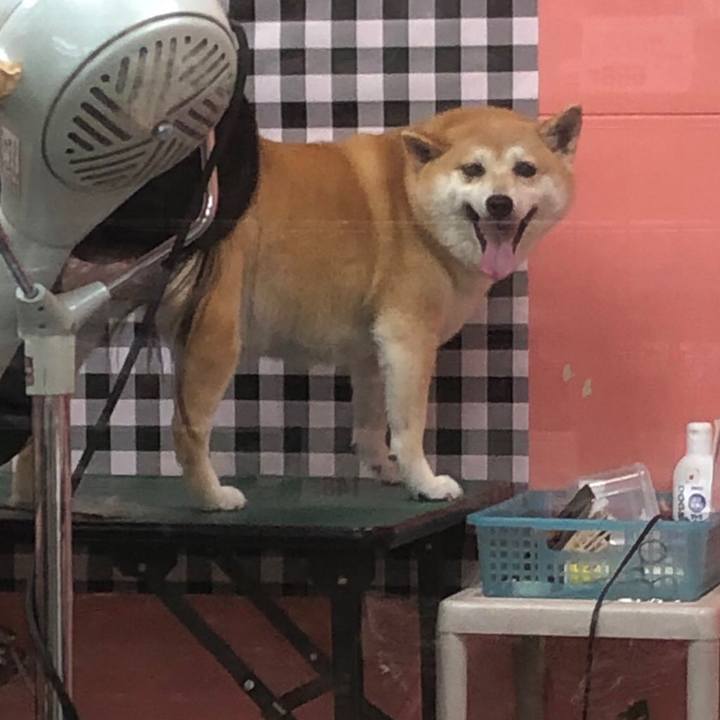 7c8c0d06 3a43 4e96 8a9b 5f7e8f15f607 1592023072318