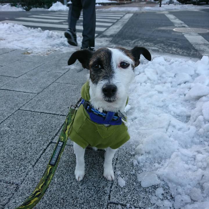 7c8c1909 b21d 441f 9185 76aa9fc0b70e 1516745756421