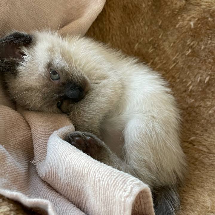 7c8c3f86 1f3f 4f4b 90f0 32e46718169a 1686258489141