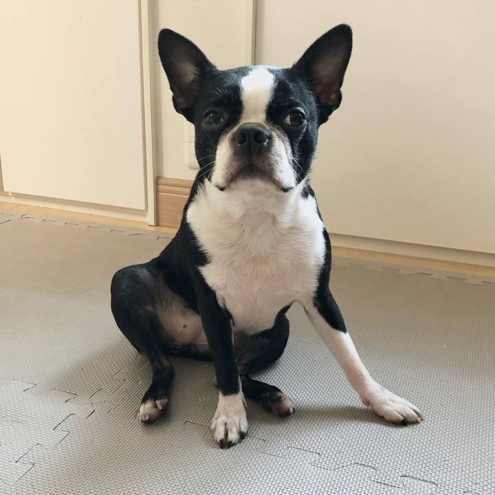 7c8c43d2 2410 4d0e 9505 316a26b879cf 1613271175461