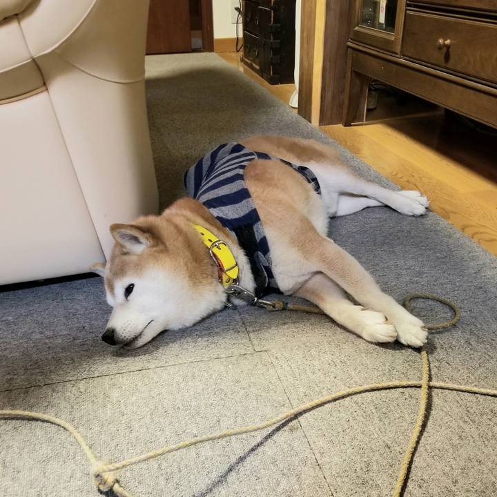 7c8c4783 424f 44d8 b02e da0bd70e03d4 1672913638941