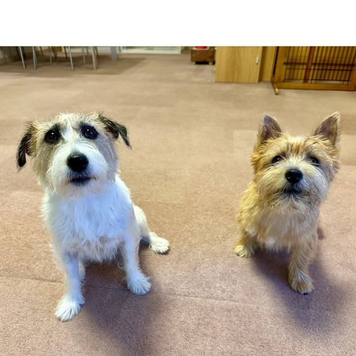 7c8c7fee 992b 42f5 995d 9ca6ffe7eab6 1727940787159