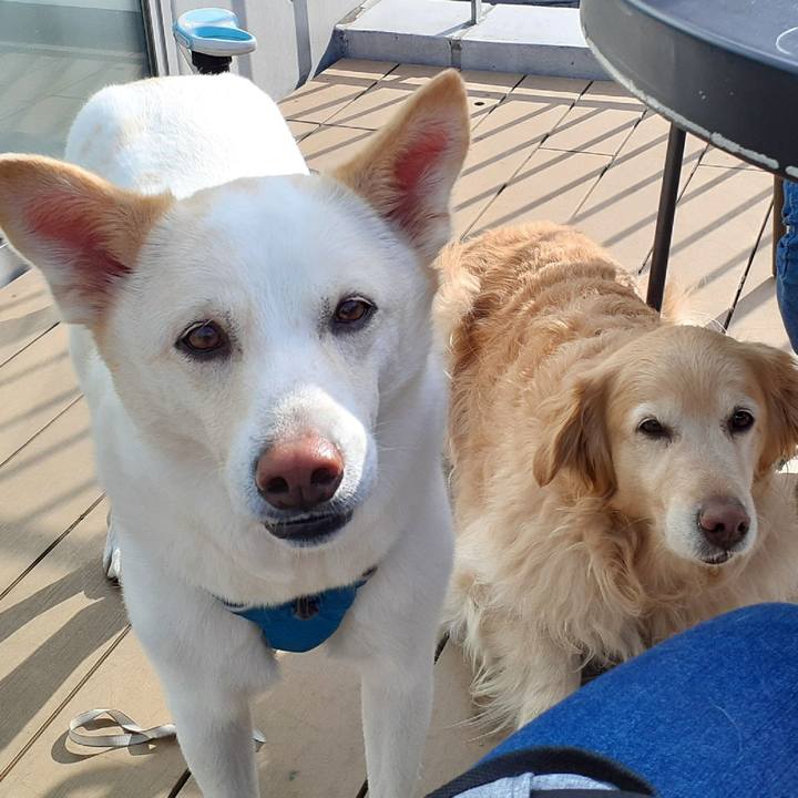 7c8c8b3e a276 40c1 b457 2272ce286e3e 1648167636106