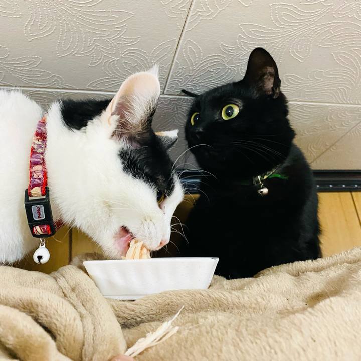 7c8ca068 ec71 40b6 baa6 c44309c5d388 1675426133648