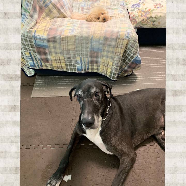 7c8cb493 4c11 40ec a4da f1186cd93138 1561589027899