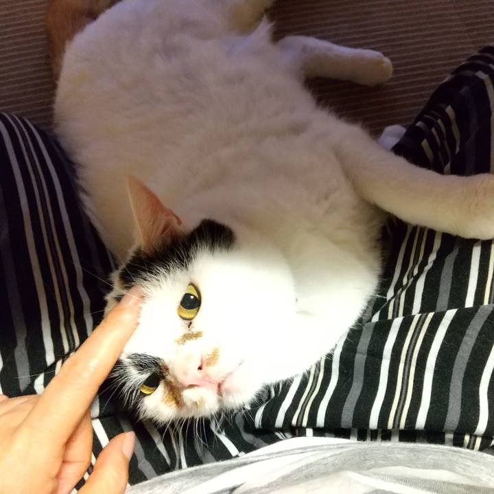 7c8cc208 19e1 418d a38e 8e582e89caae 1595937583675