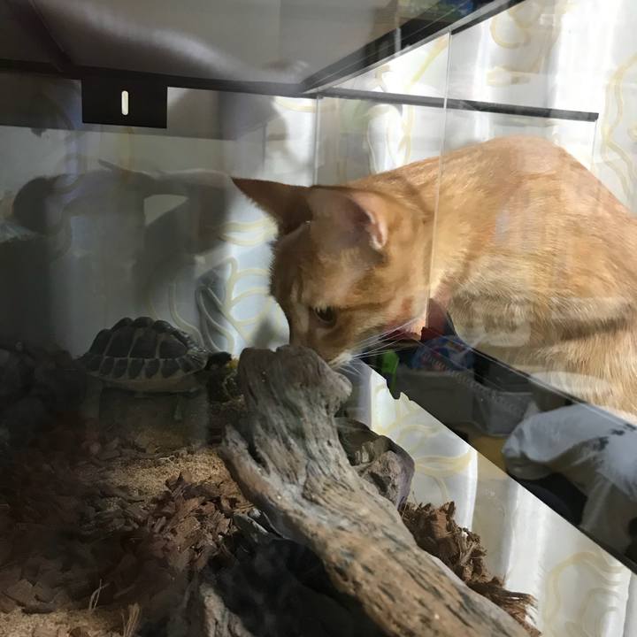 7c8ccfdf 4f59 482b b276 52f90753c53a 1538489718134