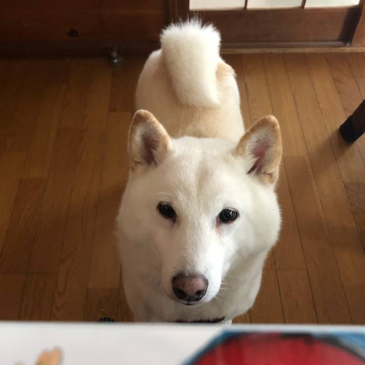 7c8cd231 5c60 4eb3 a185 0fb158cb63a7 1607227716234