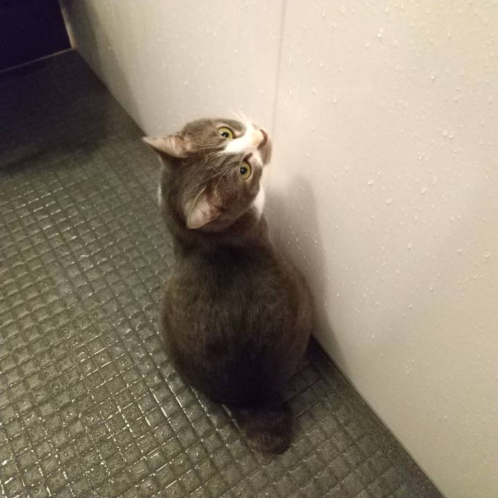 7c8ce71d 9ca8 4dce ae4c dcee40ff8776 1607981576399