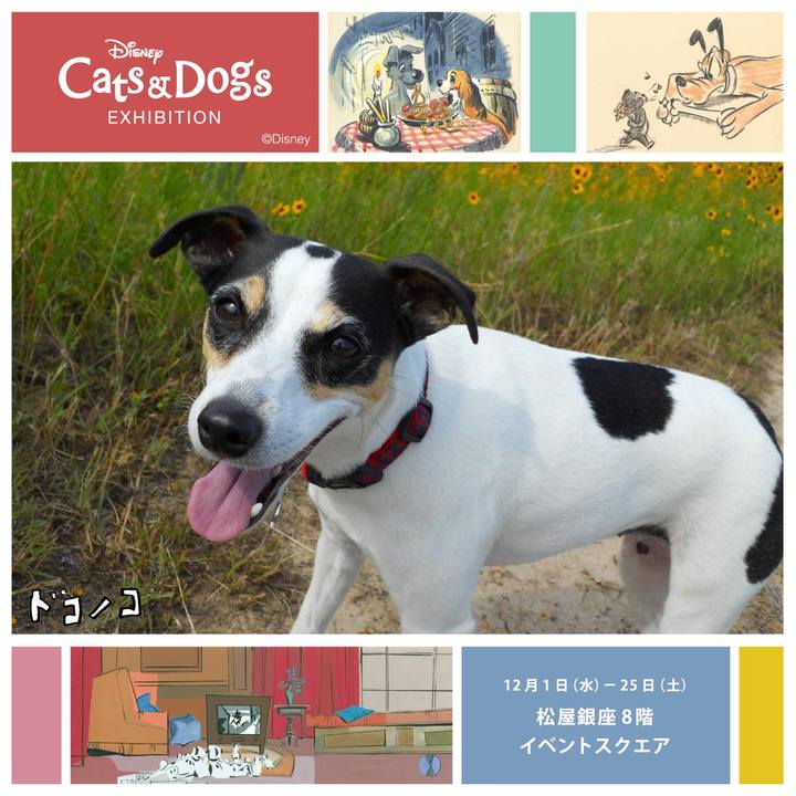 7c8d140b 6072 451a 8674 1001e8a91e77 1638571162188