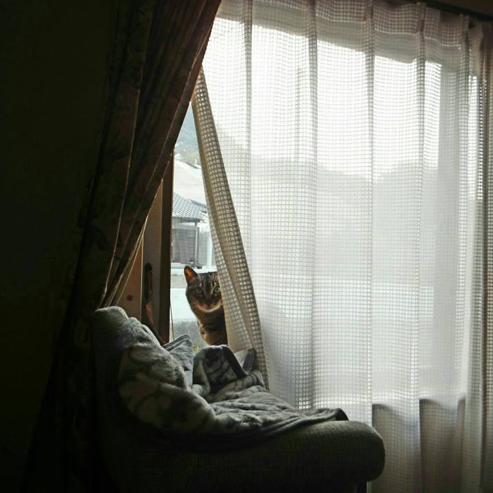 7c8d4f78 4147 4ff2 9f8d 926748d9bb73 1522655230317