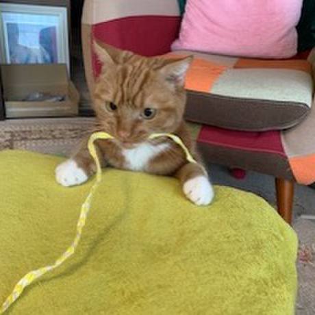 7c8d6083 7f2d 4650 9671 eb5fe46f9038 1565498600288