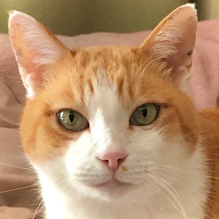 7c8d90b5 e349 486d bf87 4e308e060f42 1612480096635