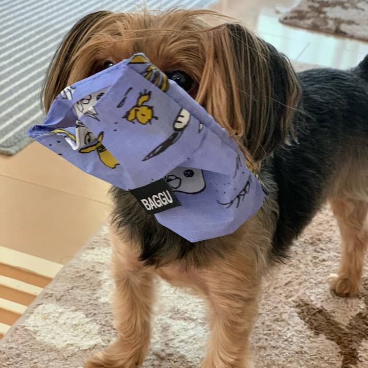 7c8dc58a f089 4641 ac73 bf7b0fbc5292 1593511120485