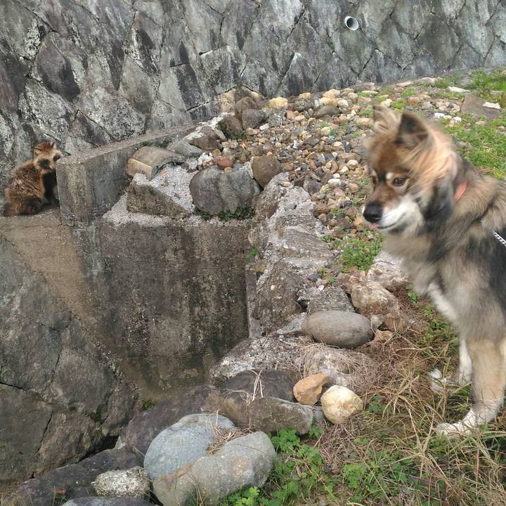 7c8dd835 a9a6 4c46 9ea6 43de556101ea 1542813936636