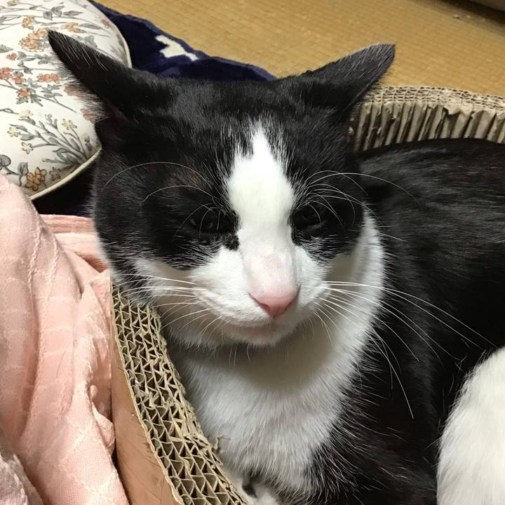 7c8df2ca d294 49ba 9991 de9b0bc2d71f 1704973379642