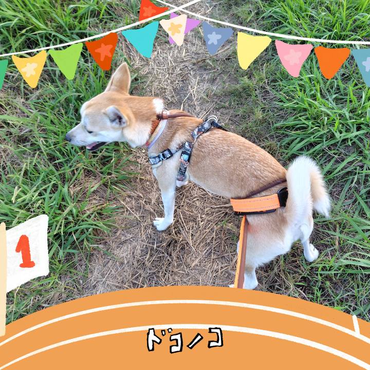 7c8e01b5 4997 478f aca0 571c69b37188 1761298148524