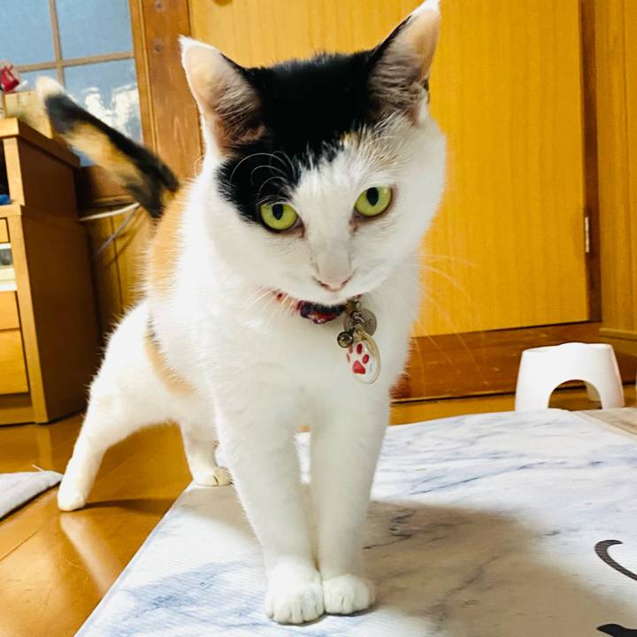 7c8e0f62 b185 416f b6bd 5f9c6f9afd9d 1722160946025