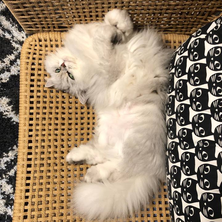 7c8e0f6b 89b6 4104 8fea 5b545cdad201 1621562301506