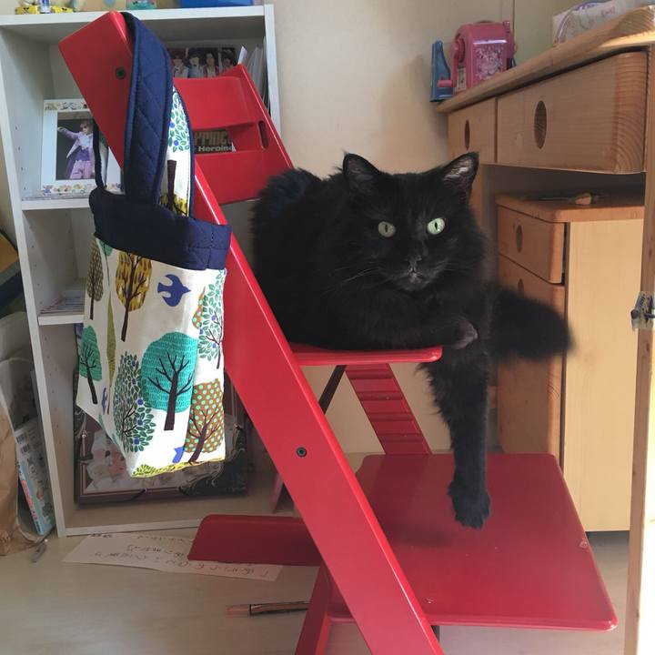 7c8e0f9d dc0b 4658 b639 9f7eb47c402f 1560050050633