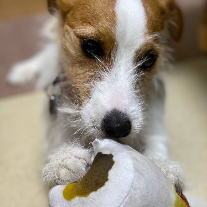 7c8e18ac 1f86 4c05 8577 3b243b96d5b5 1645882221433