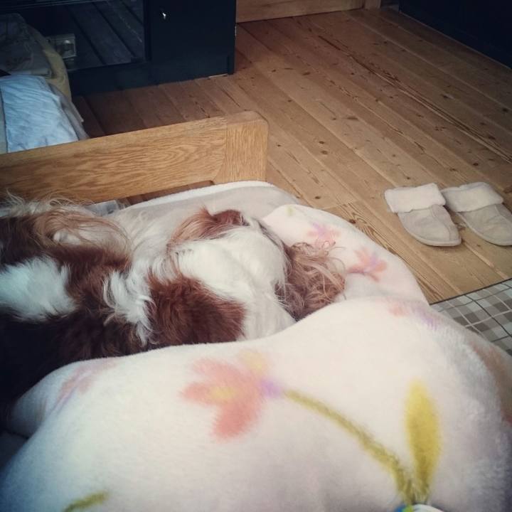 7c8e44fb a5e2 4b7b a03d 3da994889205 1545438875819