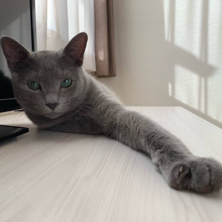 7c8e8534 b1c8 4475 ae95 da113f0f88a1 1575354907676