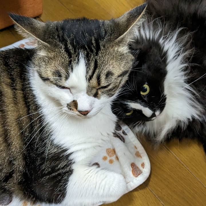 7c8e94a8 06ee 4b09 a73d fc292ecb57e8 1681641094834