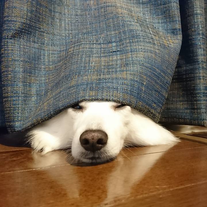 7c8e9590 6440 45d8 bbb4 987a243da797 1559536777725