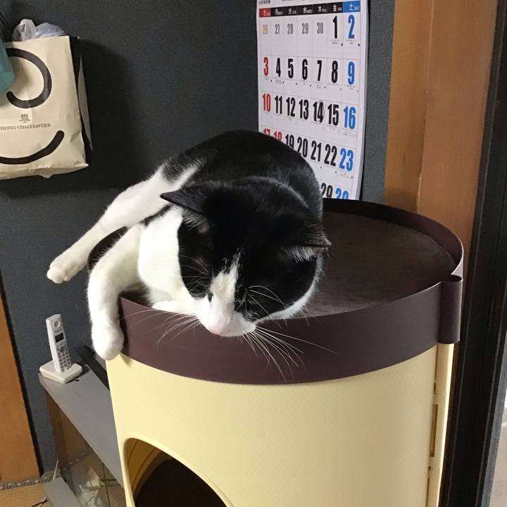 7c8ec7da 5f9a 4e80 9046 1a5559de72b2 1657533621889