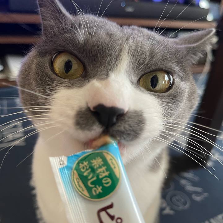 7c8f01d3 56f2 49a5 9fc7 fbb7afd215db 1699941901448