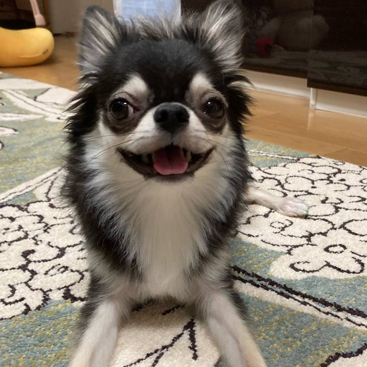 7c8f0a3c ce05 4bc7 a63a e3e55436f25b 1628947524273