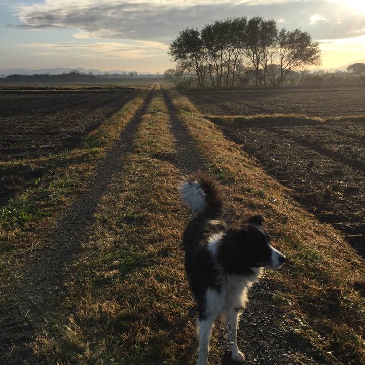 7c8f1ba0 8e5c 4002 aa2a 63ade229deab 1574469941044