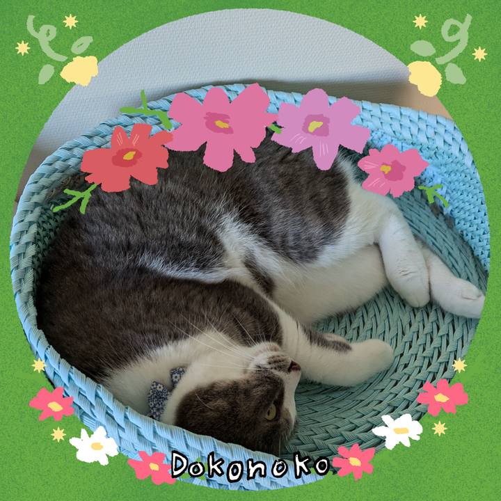 7c8f3559 714a 4351 bc20 168462d7f69a 1726836070937