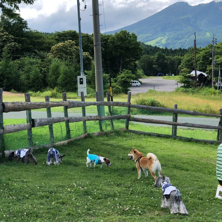 7c900016 605e 473e b7d8 31b53556b1fd 1530425177922