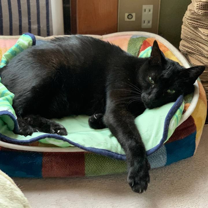 7c900660 7933 401b 8b3f 38d0e6c15895 1601860310105