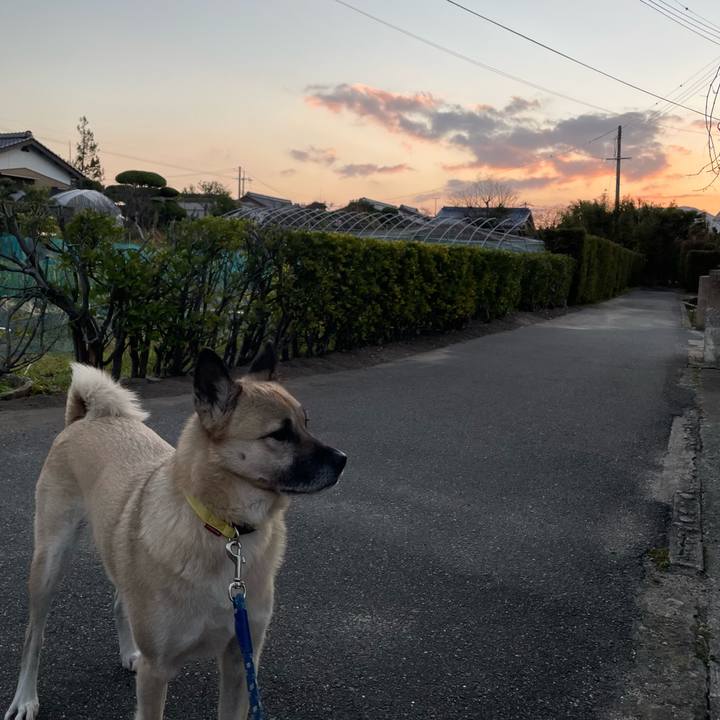 7c90097d a73e 4112 b48c 0c0447063ffc 1638965194732