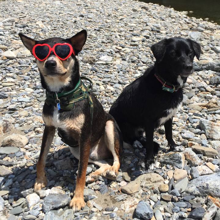 7c908a0f 9fe3 4a74 967f eabebd0d0495 1534250352637